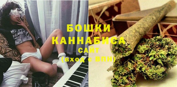 мяу мяу мука Гусь-Хрустальный
