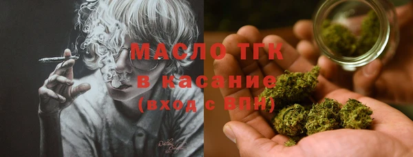 мяу мяу мука Гусь-Хрустальный