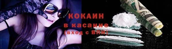 молекула духа Гусев