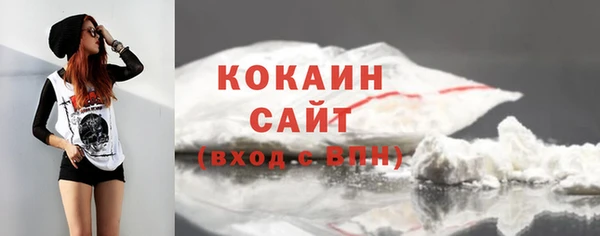 молекула духа Гусев