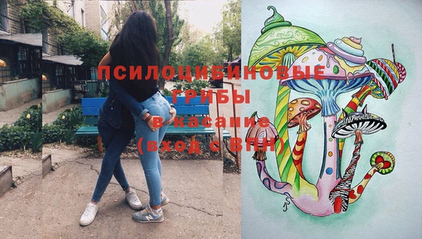 мяу мяу мука Гусь-Хрустальный