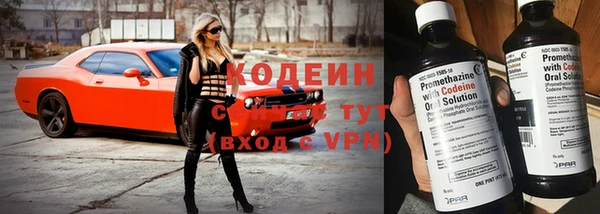 мяу мяу мука Гусь-Хрустальный