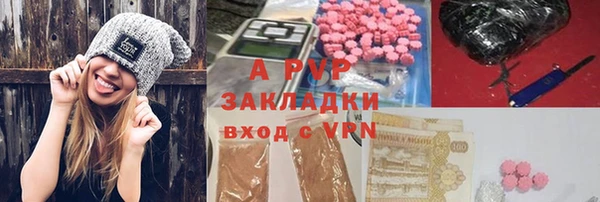 молекула духа Гусев
