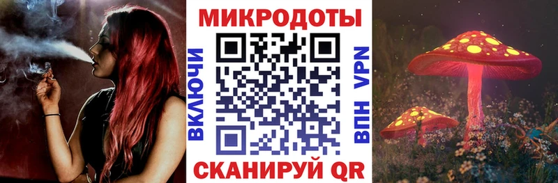 Галлюциногенные грибы Psilocybine cubensis  ссылка на мегу зеркало  Чулым  как найти закладки 